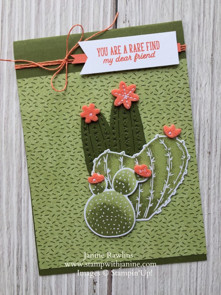 Stampin'Up! Flowering Cactus Product Medley