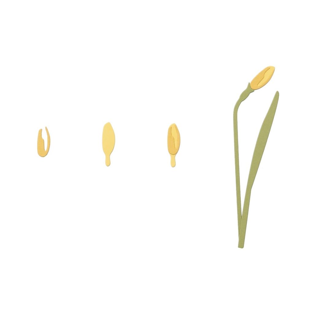Daffodil dies - bud assembly