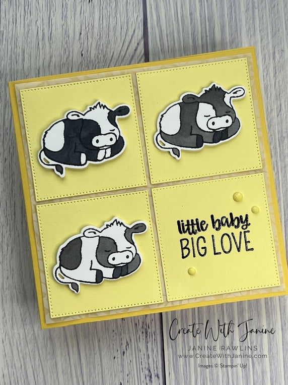 More Little Dreamers Baby Cards